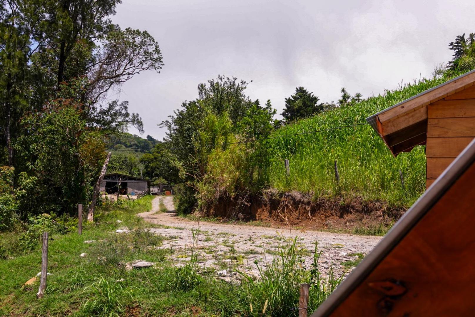 Cabana Indira Monteverde Ngoại thất bức ảnh