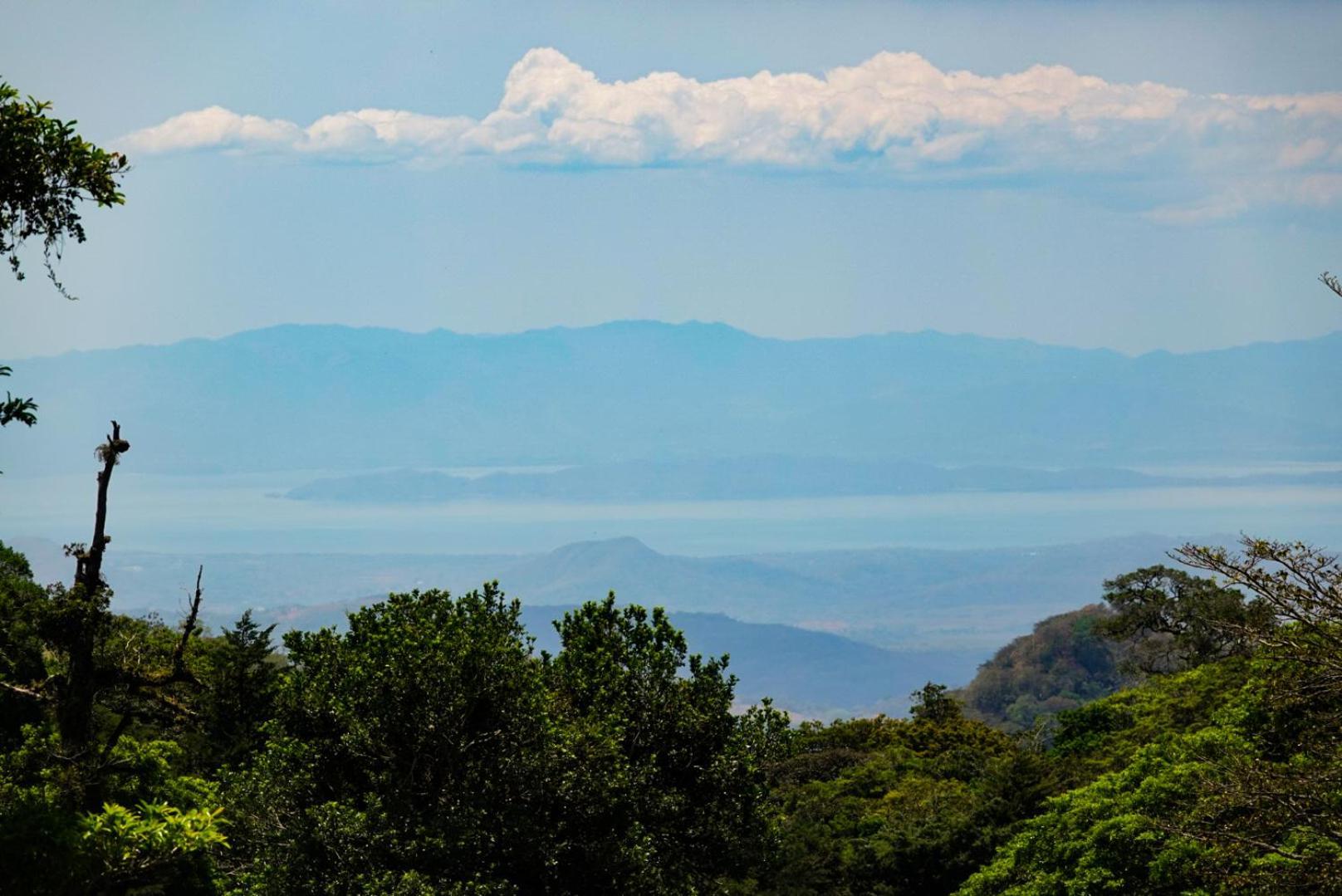 Cabana Indira Monteverde Ngoại thất bức ảnh